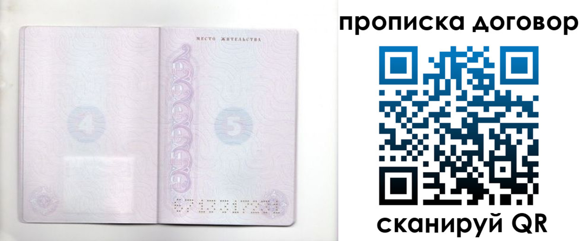 купить прописку в Щёкино